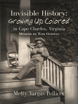 cover image of Invisible History